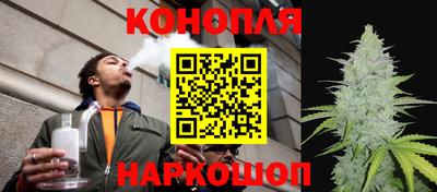 прущие грибы Донской