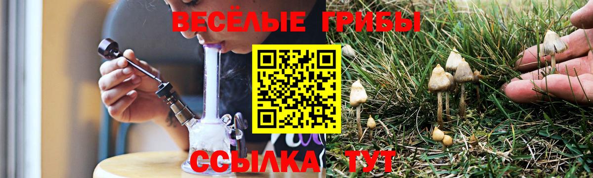 Псилоцибиновые грибы Psilocybe  Вход с VPN  цены   Нижний Тагил 